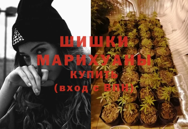 тгк Верея