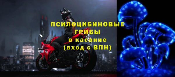 шишки Верхнеуральск