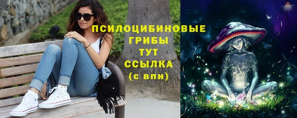 тгк Верея