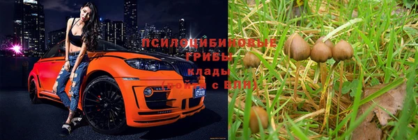 тгк Верея