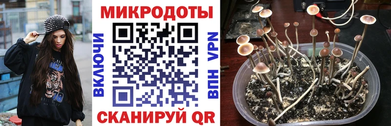 Псилоцибиновые грибы Magic Shrooms  блэк спрут вход  Миасс 